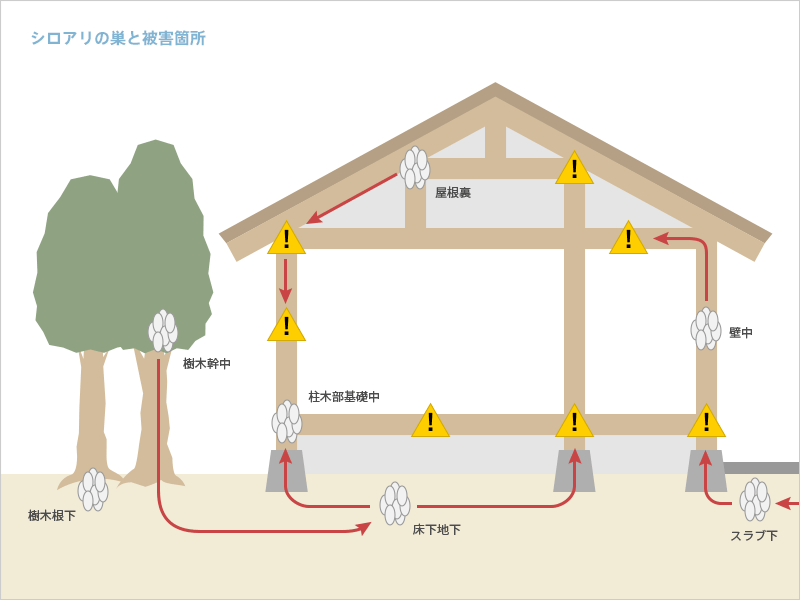 シロアリの巣と被害箇所